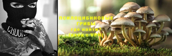 ГАЛЛЮЦИНОГЕННЫЕ ГРИБЫ Армянск