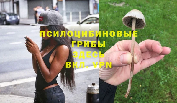 соль курить ск Балабаново