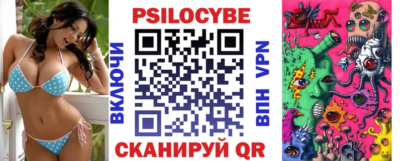 shop клад Новоульяновск Псилоцибиновые грибы Psilocybine cubensis